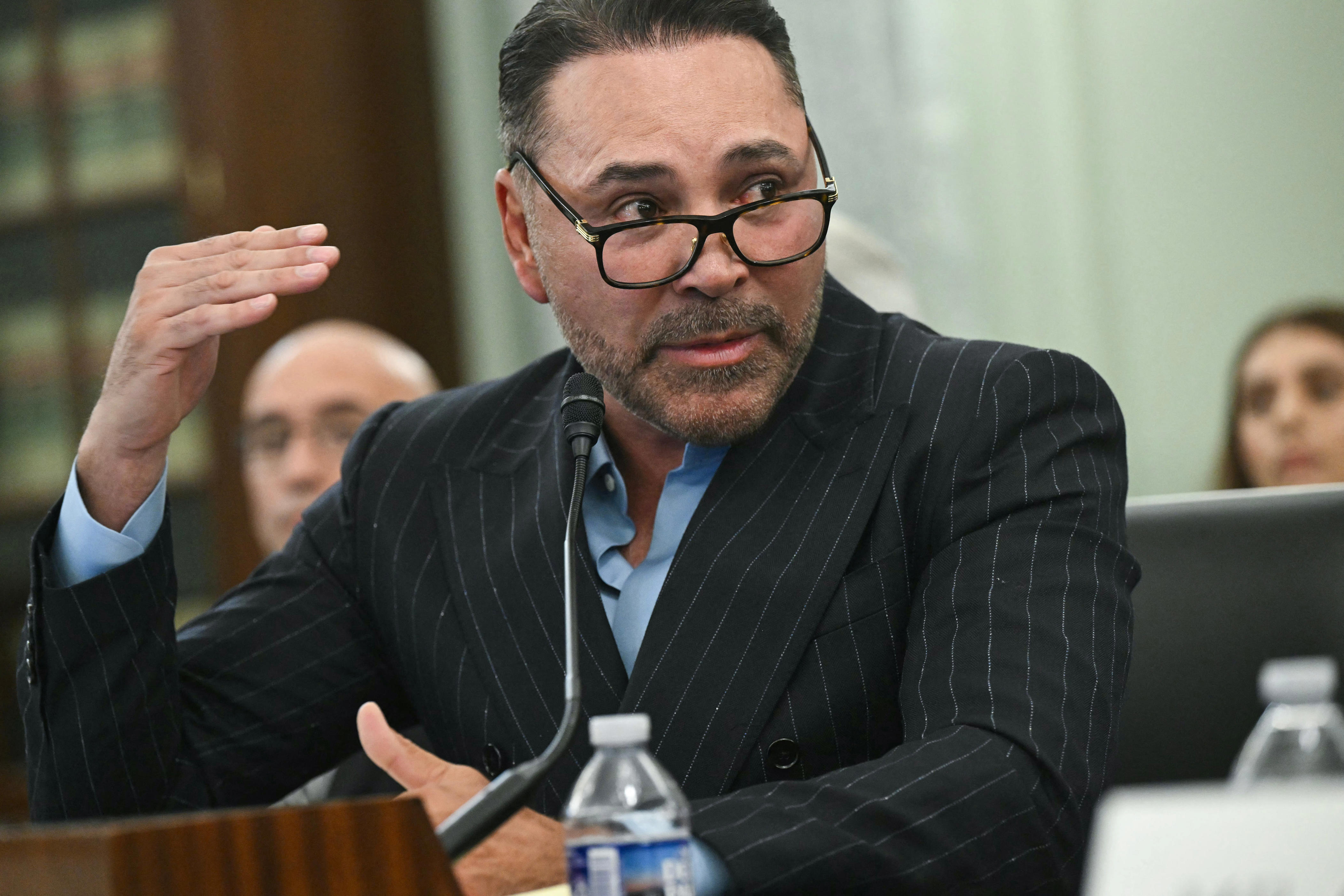 Oscar De La Hoya, Muhammad Ali's grandson testify against TKO-backed ...
