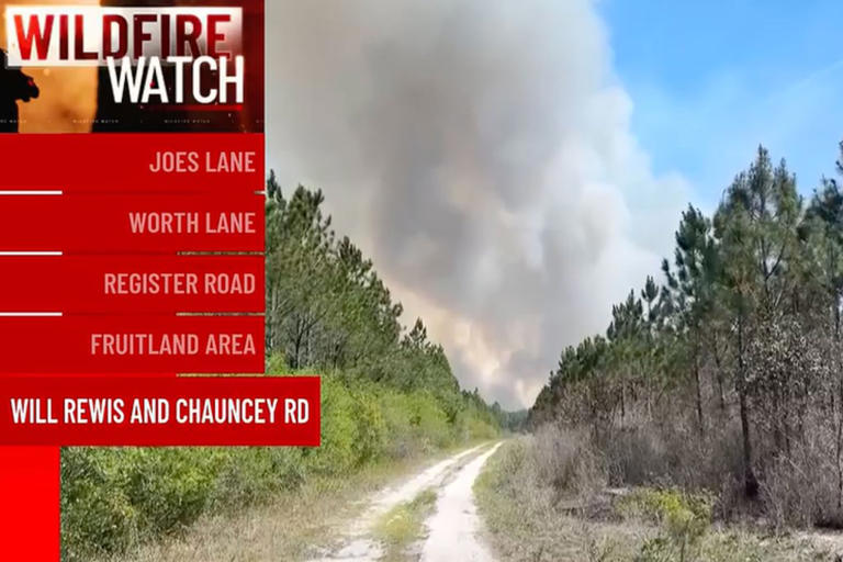 Near-record wildfires in Georgia spark evacuations and burn bans — as ...
