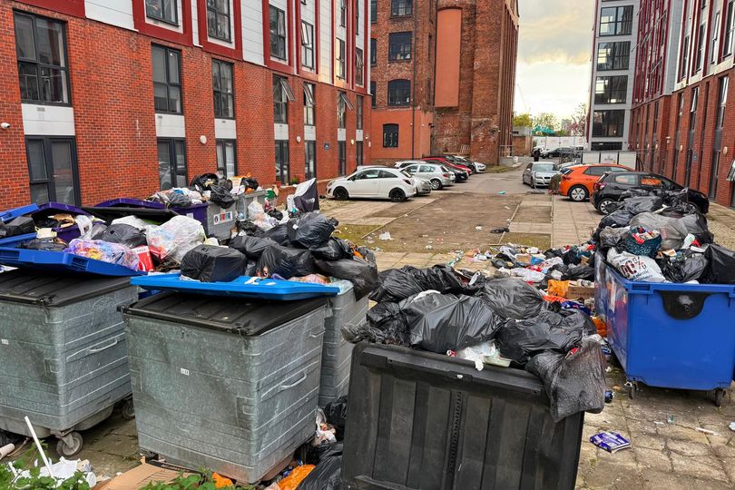 One part of Liverpool overrun with rats after bins left for weeks
