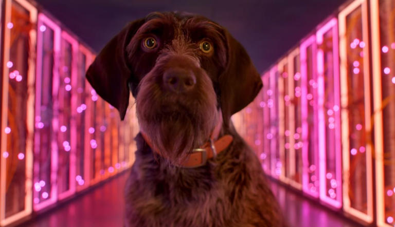 Google executive responsible for AI has a solution for the game ...