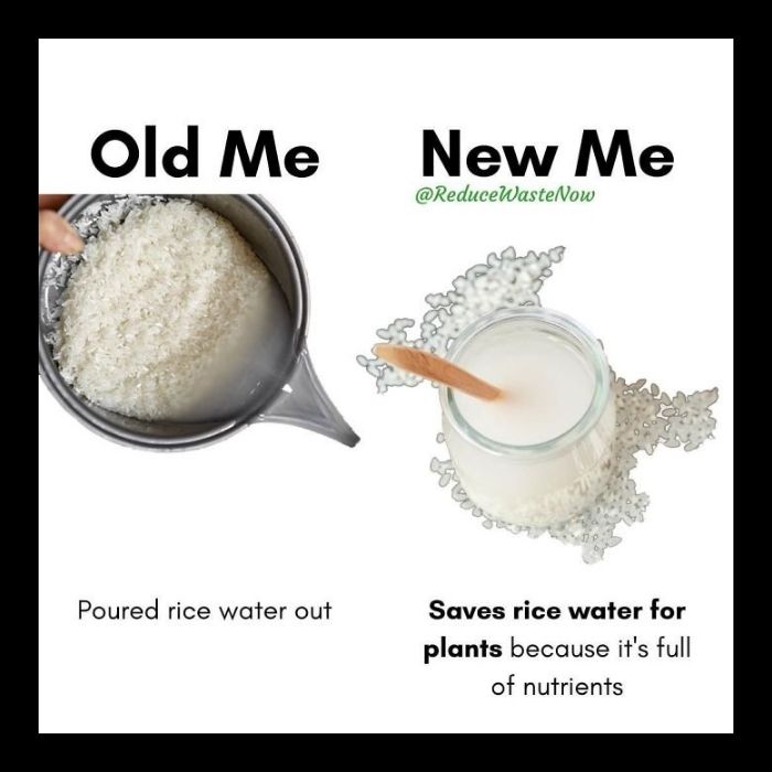 Waste less: 40+ easy swaps to cut your trash