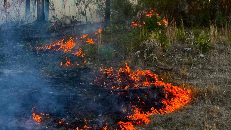 Community members, local businesses step in to help amid wildfires in ...