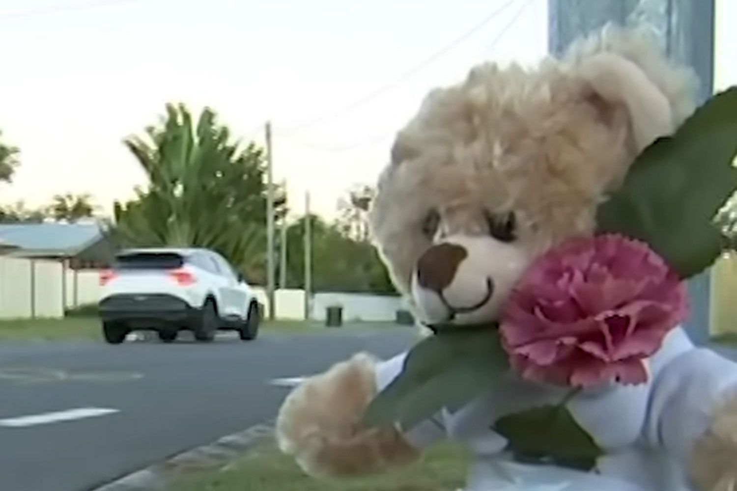 Girl, 3, dies after being struck by car while walking home from day ...