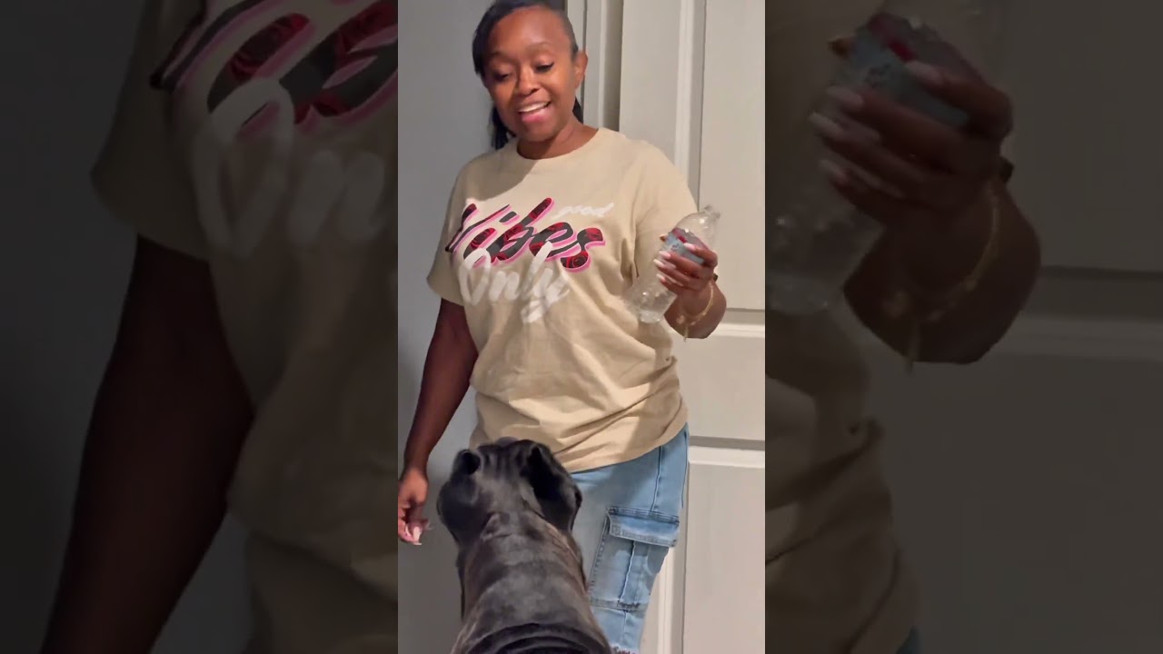 Bane wants his own #7UP flavor #raisingbane #funny #bigdogs