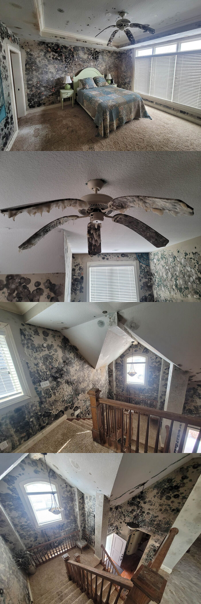 69 Expensive Fails That Hurt So Bad To Look At, You May Physically Feel It