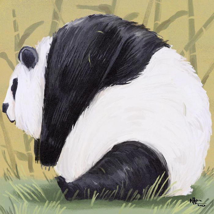 31 illustrations of chunky animals designed to be extra adorable