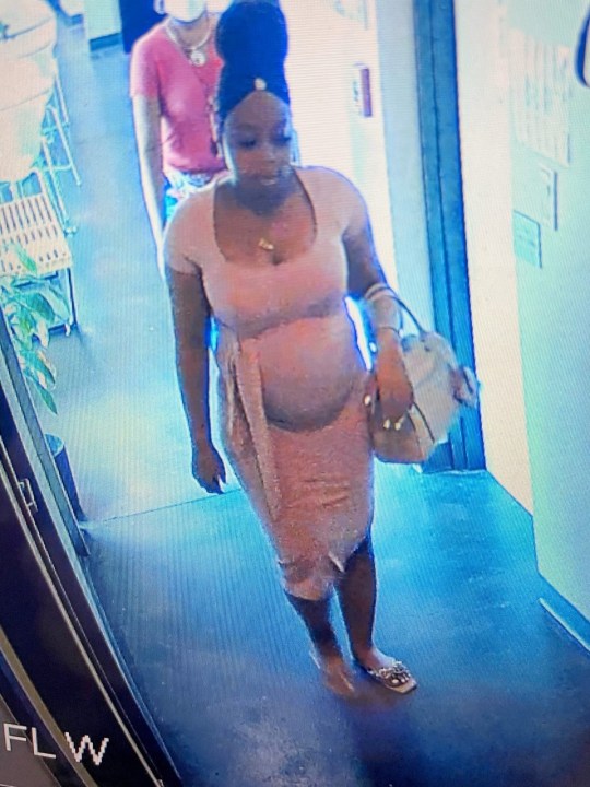 Chicago man gets 20 years for pregnant 19-year-old’s murder