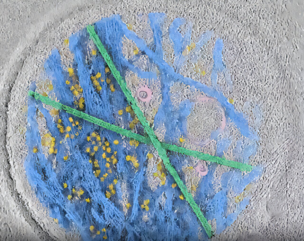 How cells turn mechanical forces into biochemical signals
