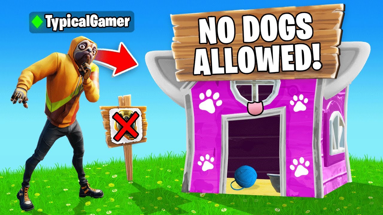 Playing as a dog in a cats-only Fortnite tournament