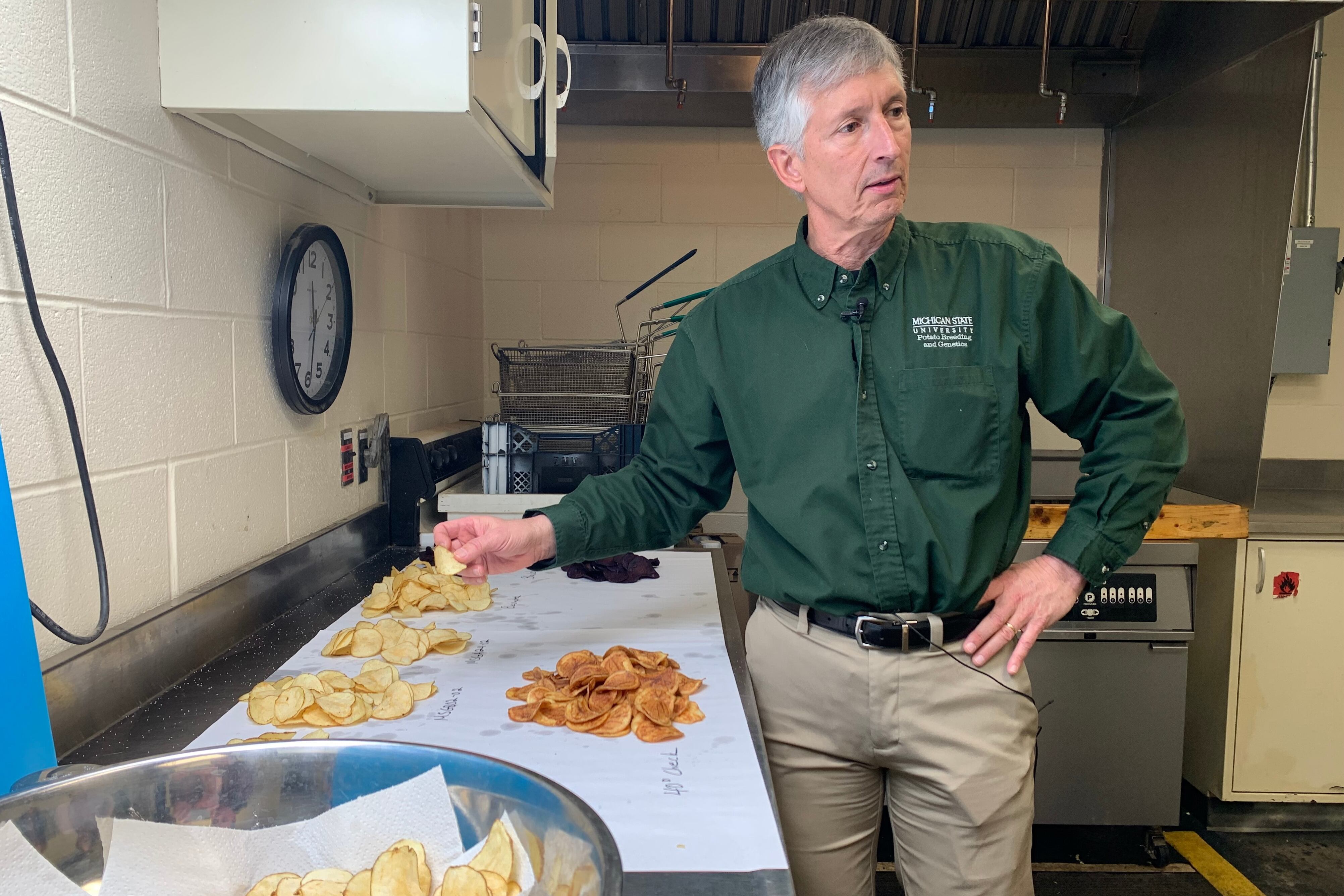 Researchers have spent decades breeding better potatoes for chips, and ...
