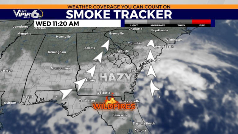 Burn ban issued for several CSRA counties, all South Georgia; wildfires ...