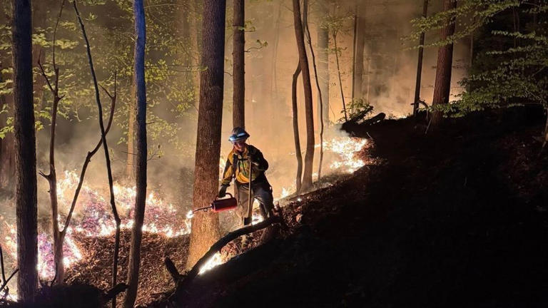 Firefighters extinguish wildfire caused by downed power line