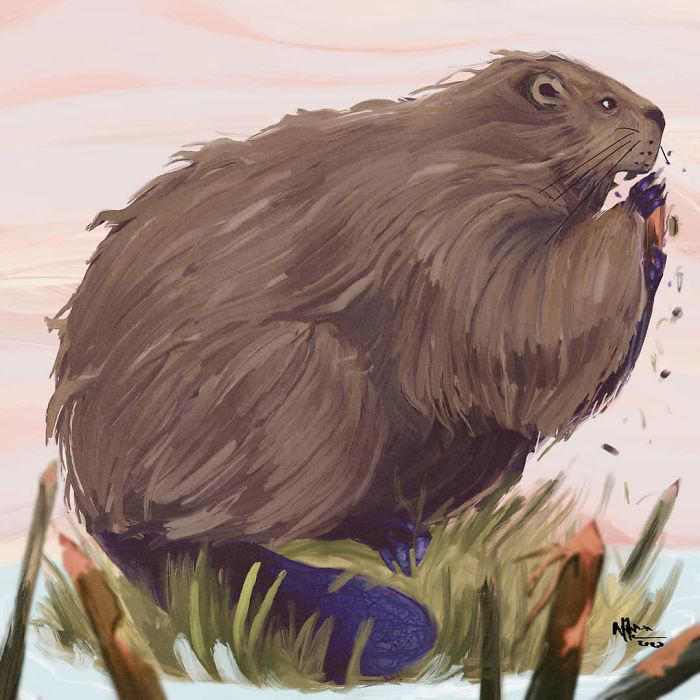 31 illustrations of chunky animals designed to be extra adorable