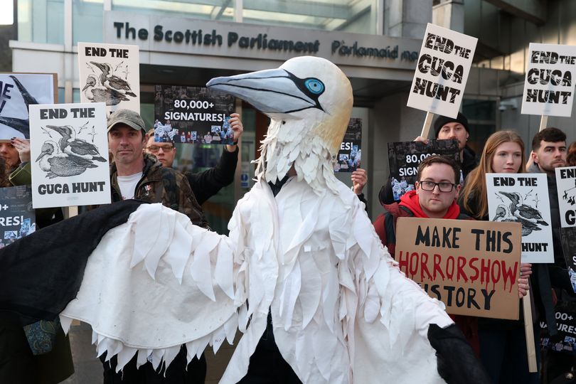 NatureScot spent £72,000 of taxpayer cash on controversial Guga hunt ...