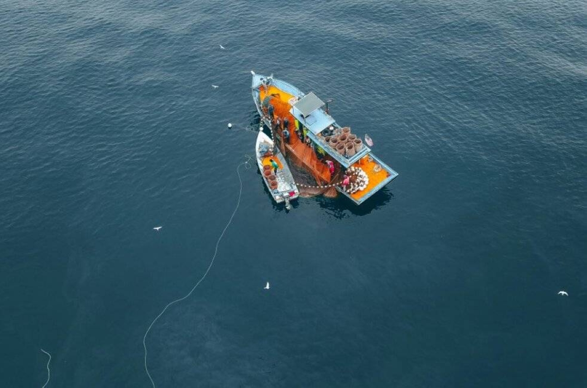 Palawan bans commercial fishing in municipal waters