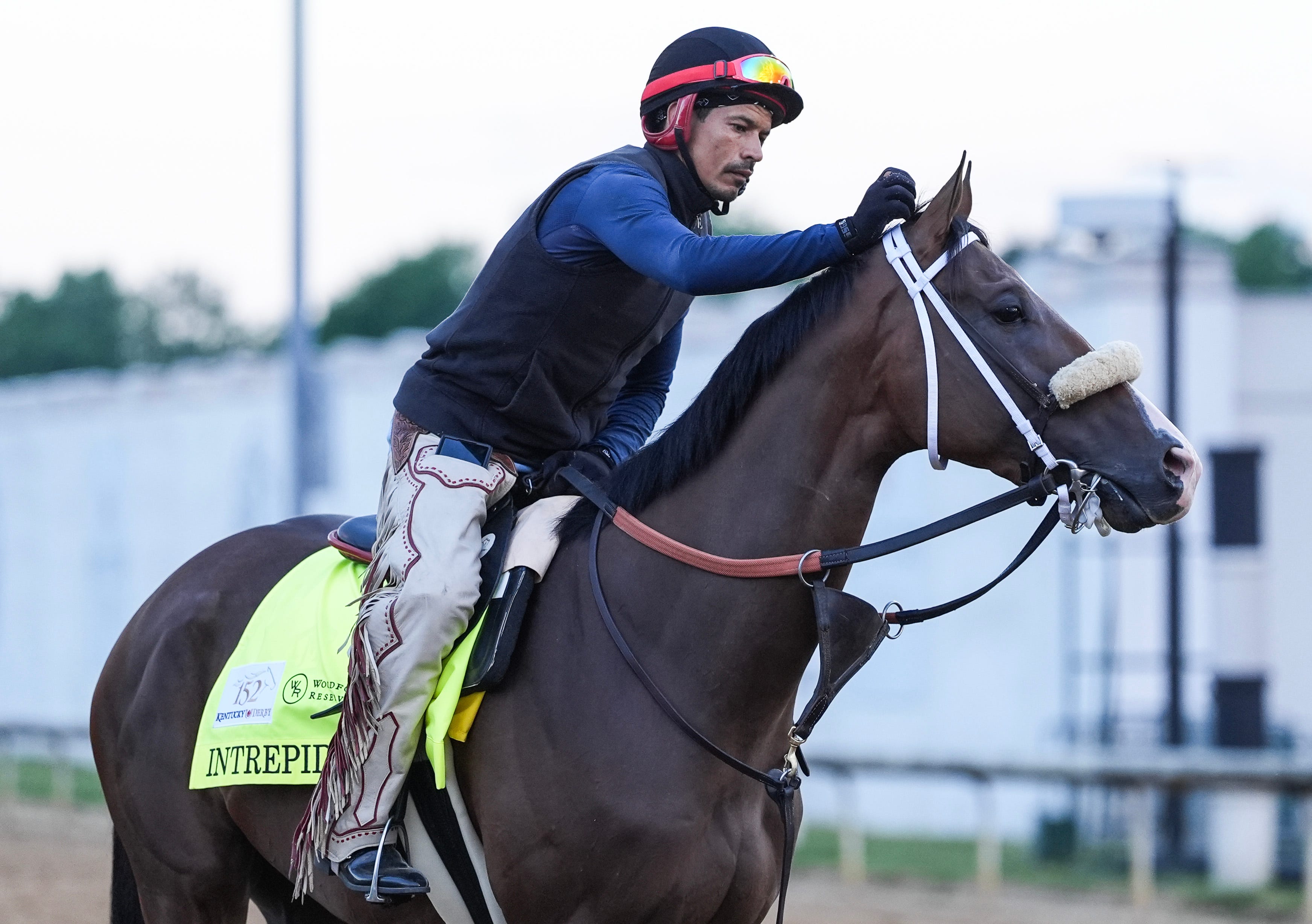 How Kentucky Derby 2026 horses Albus, So Happy, others got their names