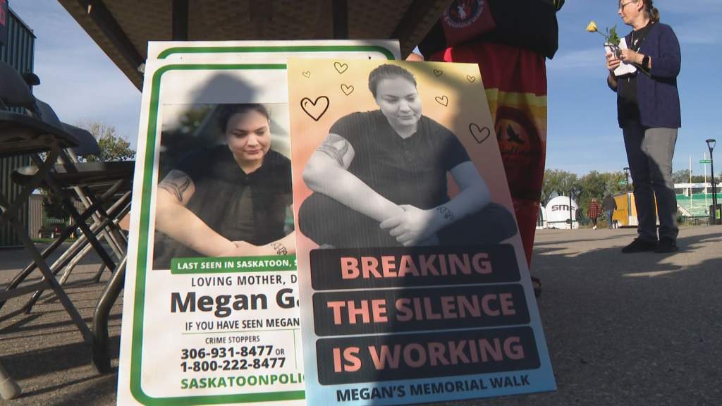 Roderick Sutherland sentenced to 7.5 years for role in Megan Gallagher ...