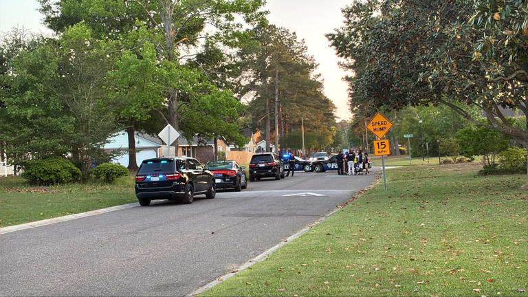 Police investigate shots fired in North Charleston community