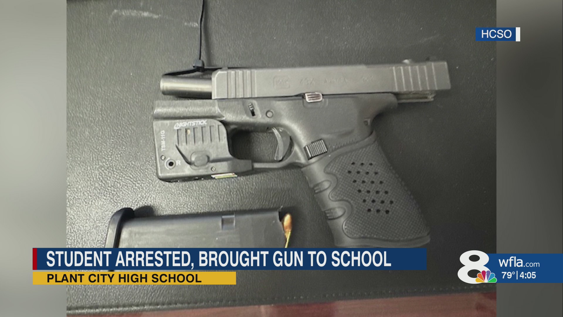 Student arrested after bringing loaded handgun onto Hillsborough County ...