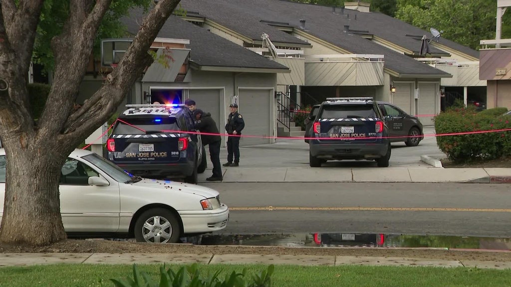 San Jose toddler dies after being hit by taxi in apartment driveway