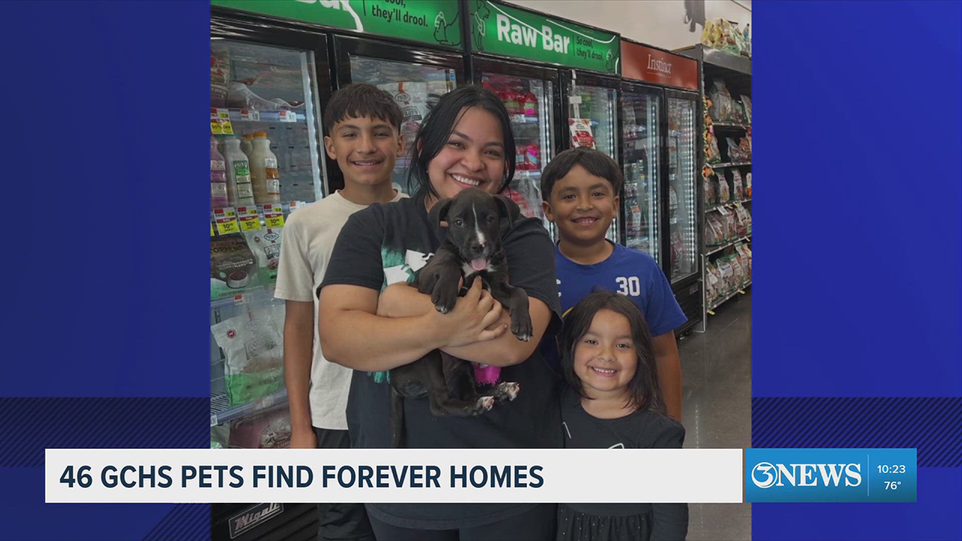From shelter to sofa: 46 furry friends from Gulf Coast Humane Society ...