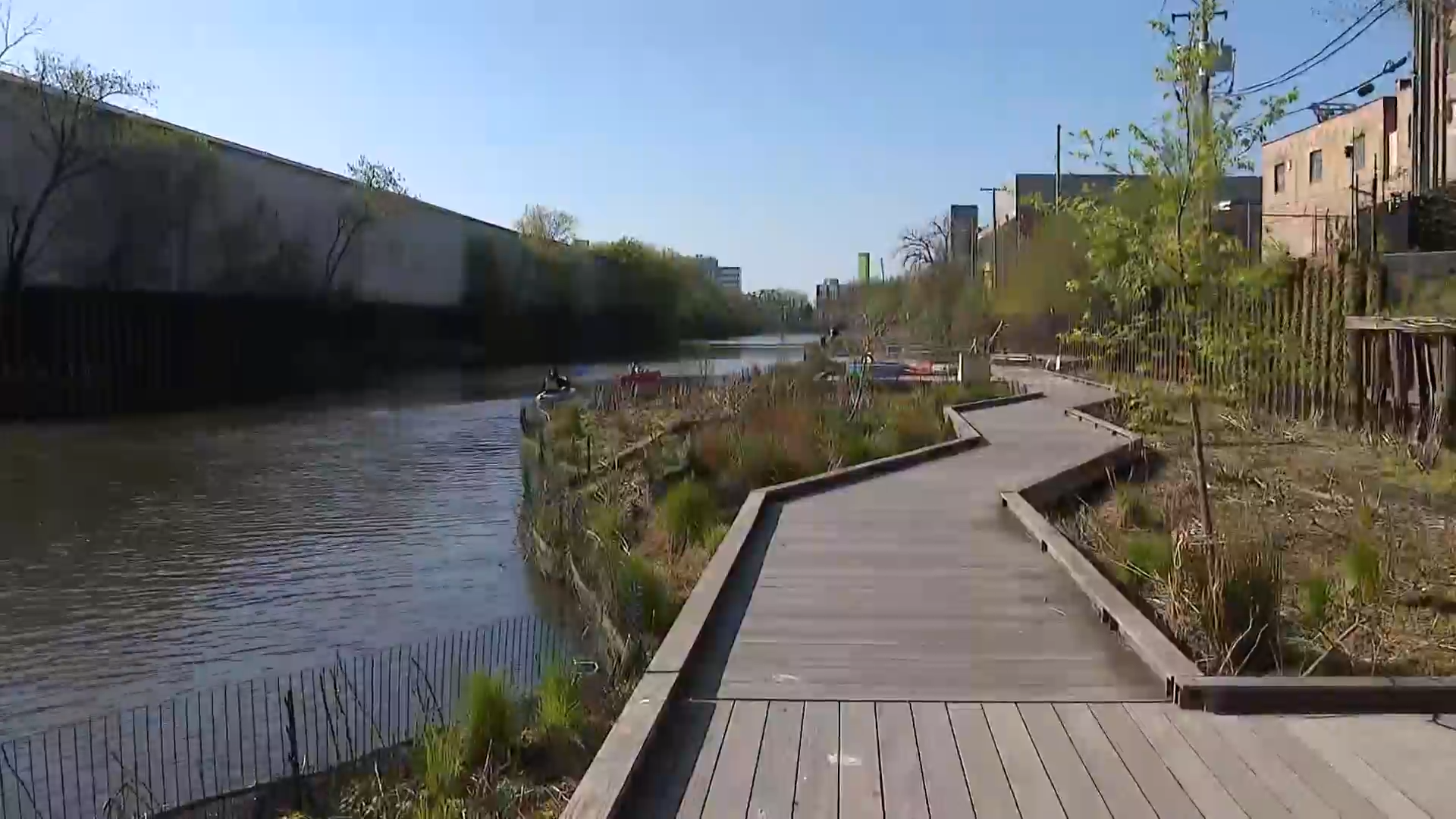 A floating dock on the Chicago River is a wildlife sanctuary open to ...