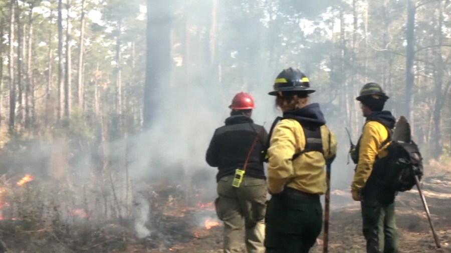 Lowcountry brush fires burn across multiple counties amid dry, windy ...