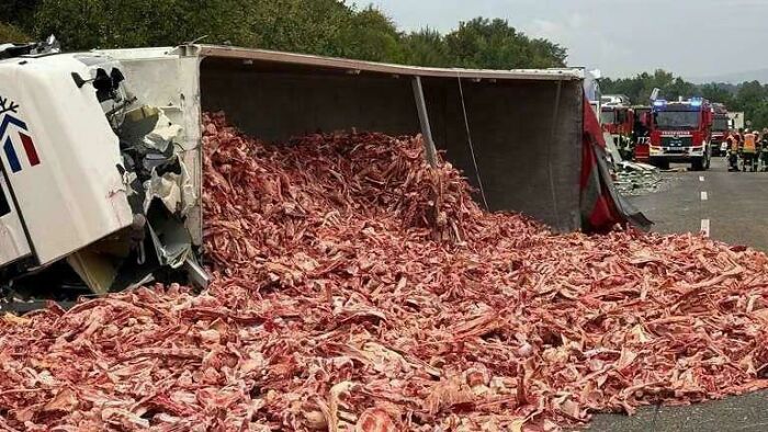 69 Expensive Fails That Hurt So Bad To Look At, You May Physically Feel It