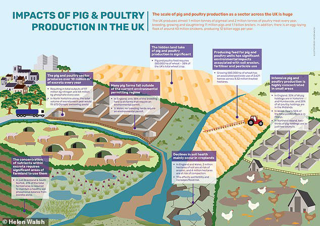 The discrepancy in figures could mean the huge impacts on water pollution, nature and land use are being ignored