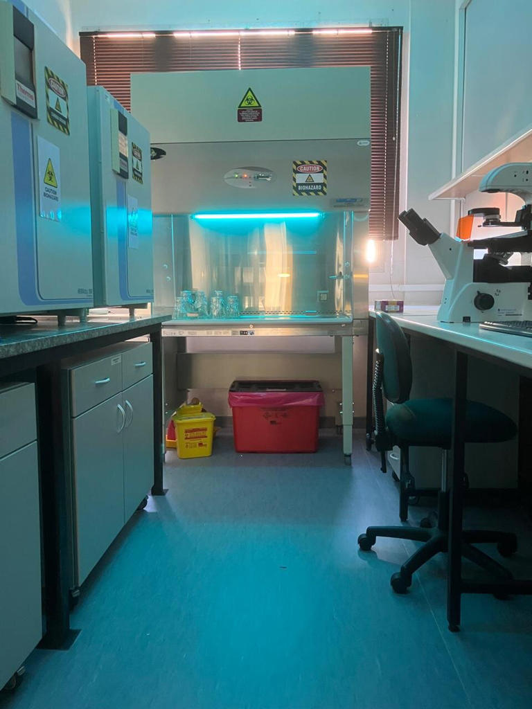 Molecular 'switch' that fuels cancer progression discovered
