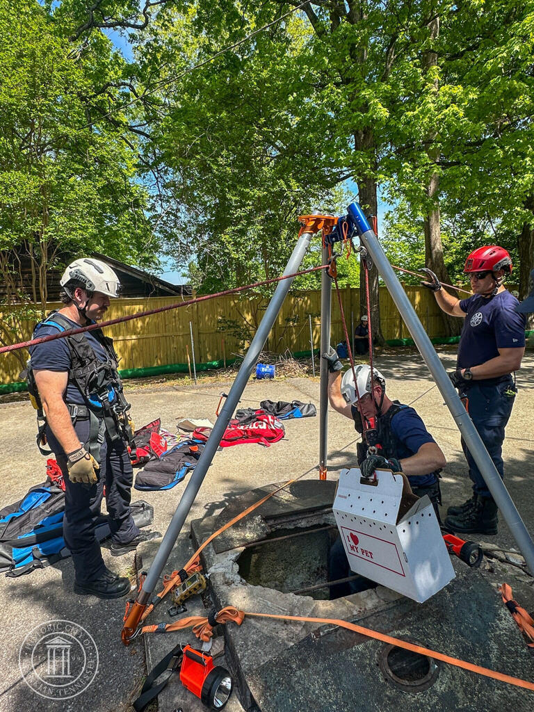Cat rescued after falling 30 feet into dry well in Franklin