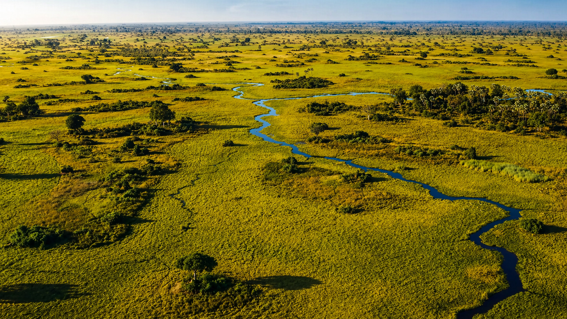 Where is this endless natural landscape?