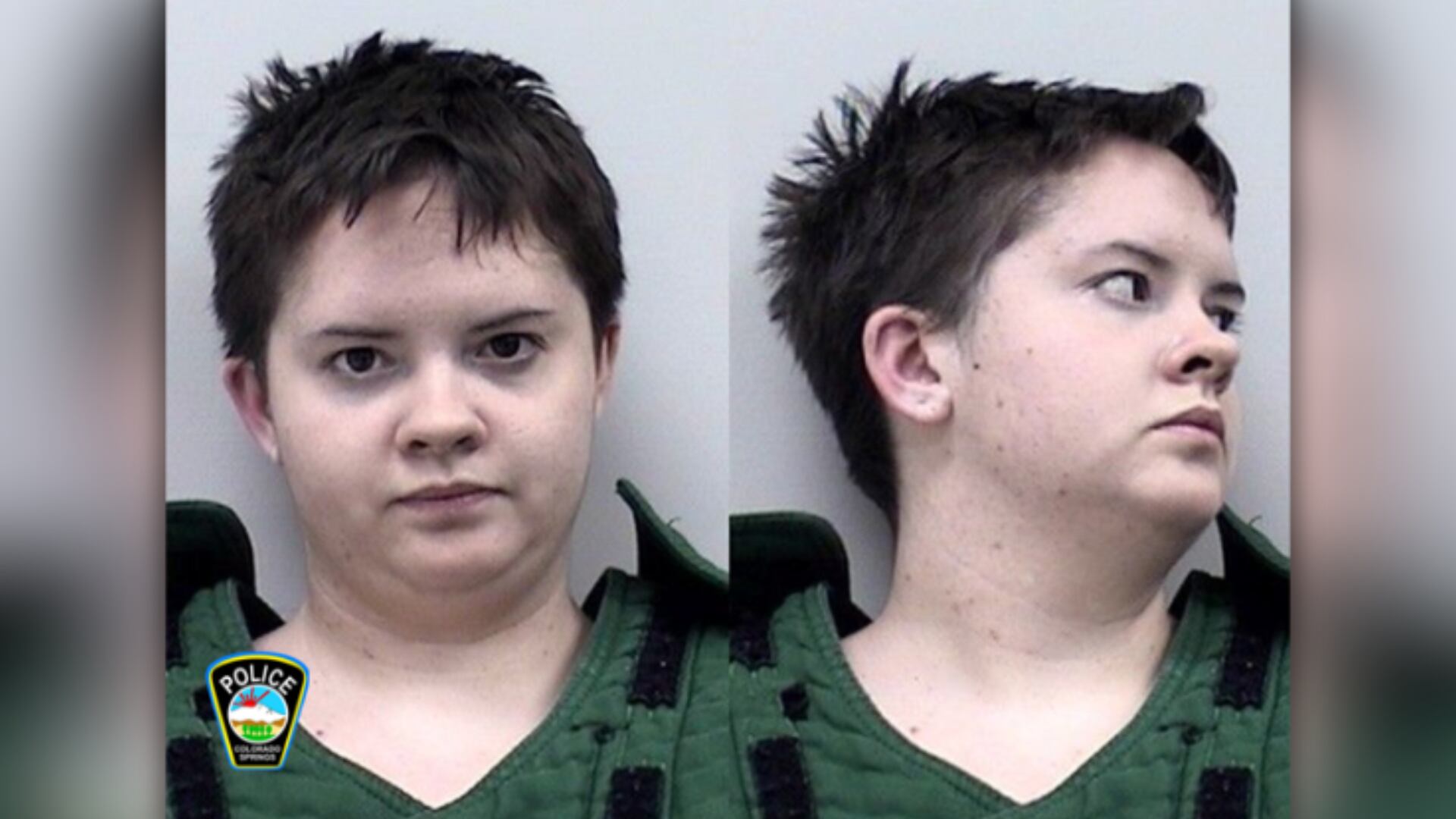 Arrest papers: Suspect admits to starting two fires in Palmer Park