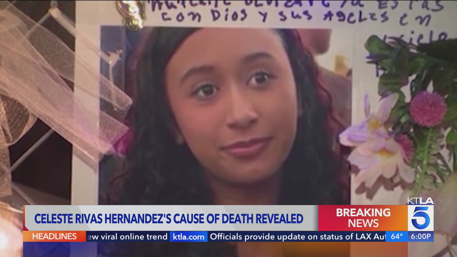 celeste rivas hernandez gofundme Image 9