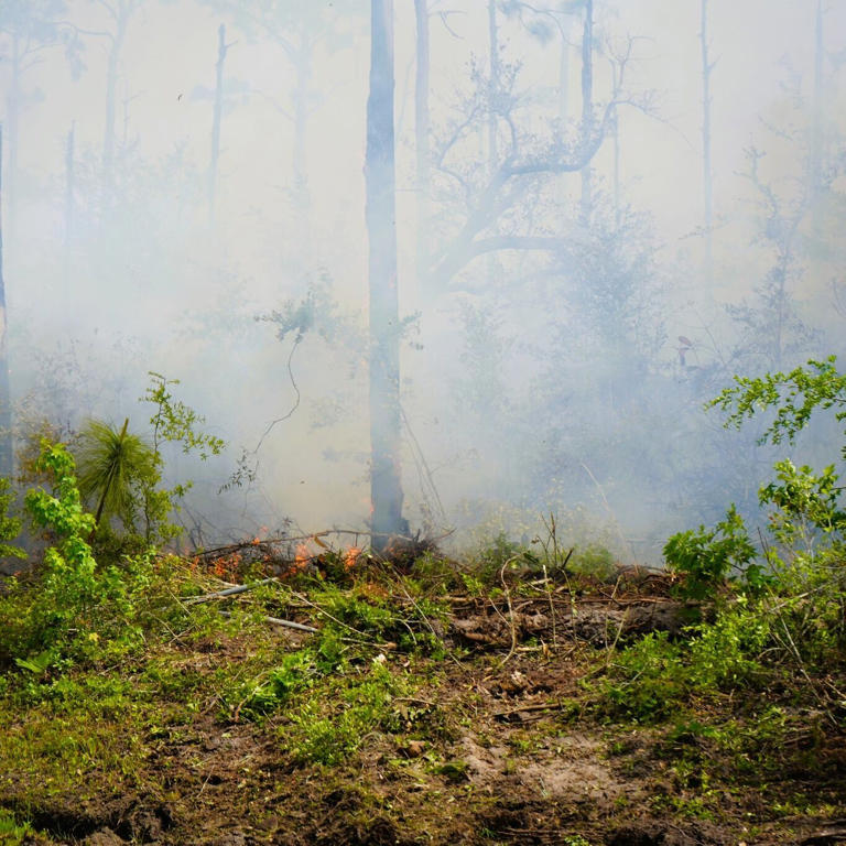 College Point brush fires update