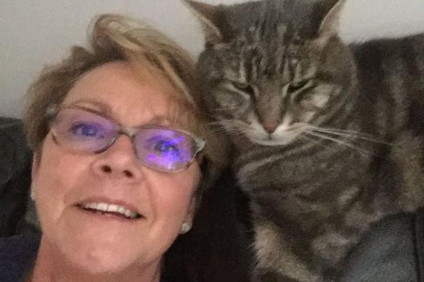 Woman heartbroken after beloved cat 'ripped to shreds' by dog in south ...