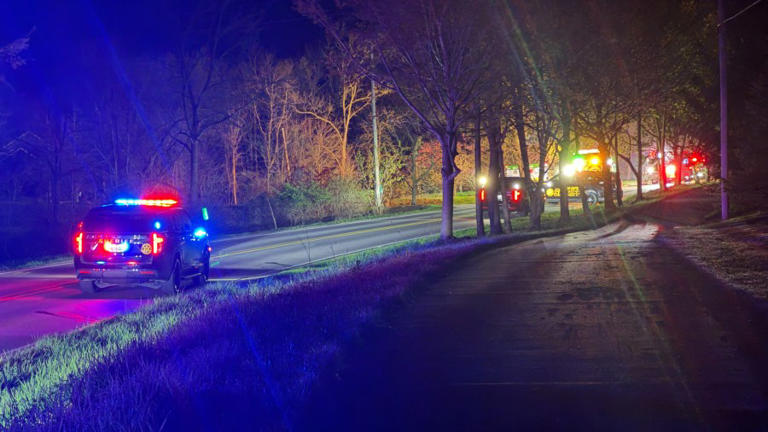 Driver killed after vehicle crashes into tree in Cascade Township