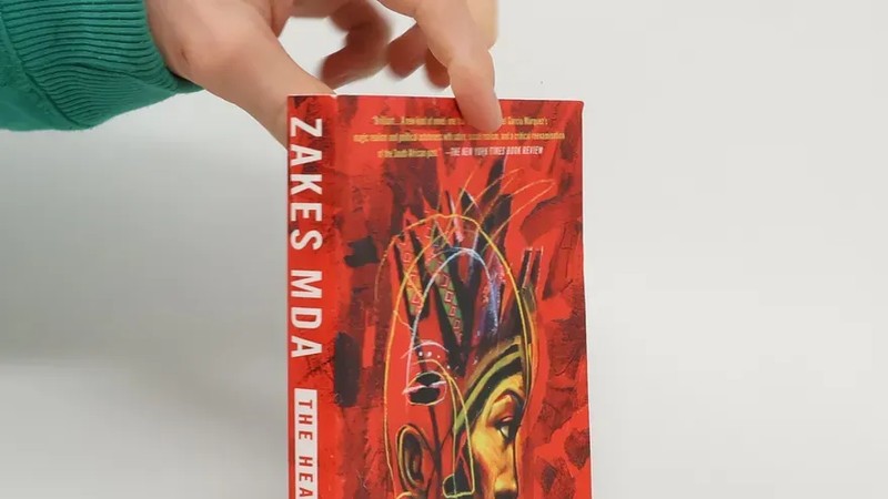 World Book Day: Must-read books that capture the soul of South Africa