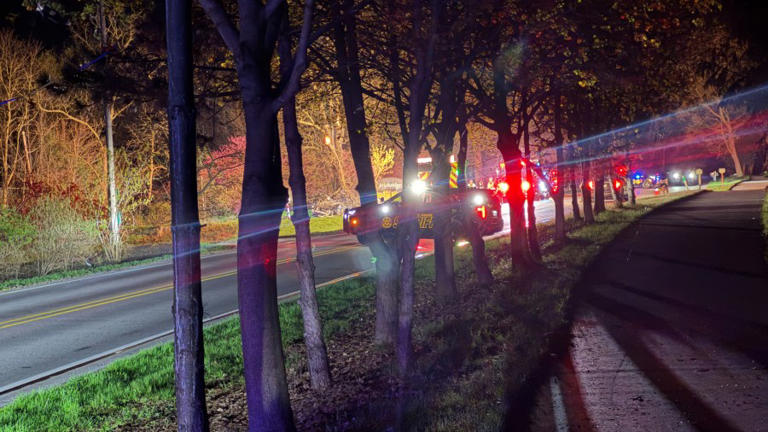 Driver killed after vehicle crashes into tree in Cascade Township