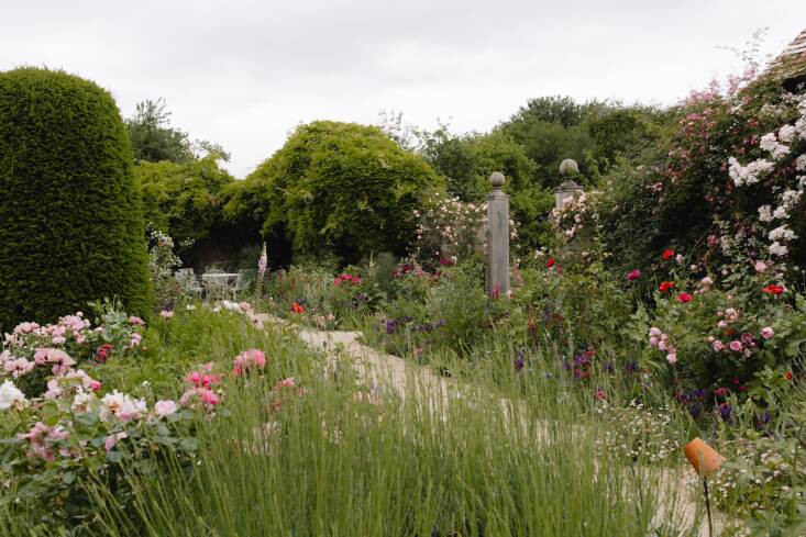 Garden visit: Ashington Manor, home of Isabel and Julian Bannerman
