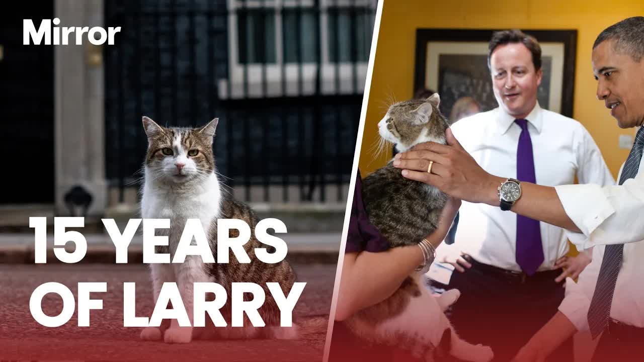 Larry the cat reaches 15 year milestone as Downing Street’s official ...