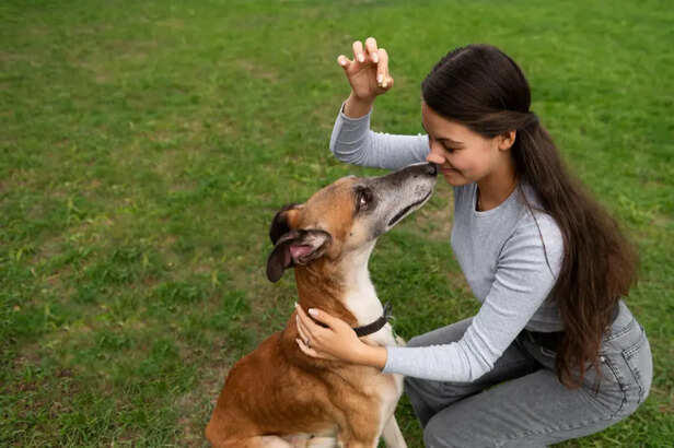 5 minute daily routine that changes your pet’s behavior