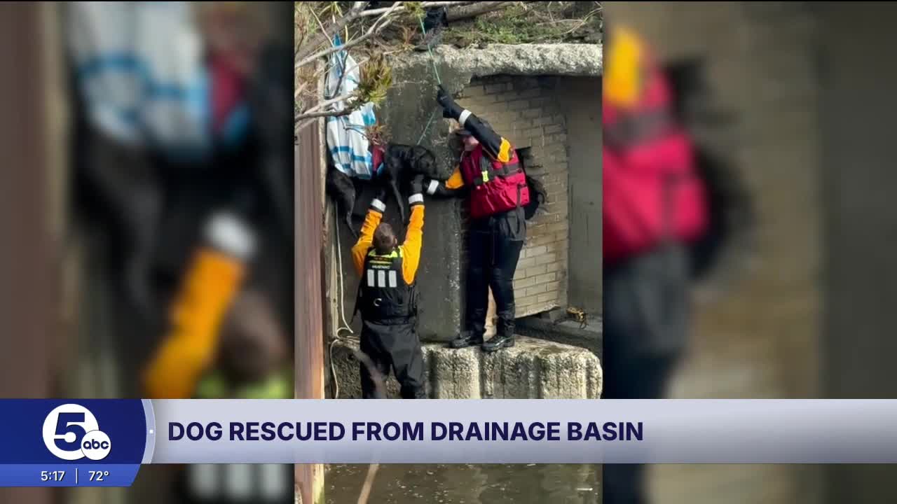 Cleveland firefighters rescue dog from drainage basin