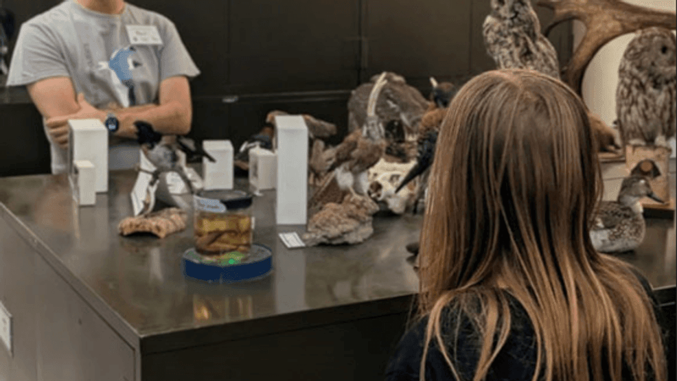 UNR opens three museums for Spring into Science, with fossils, robots ...