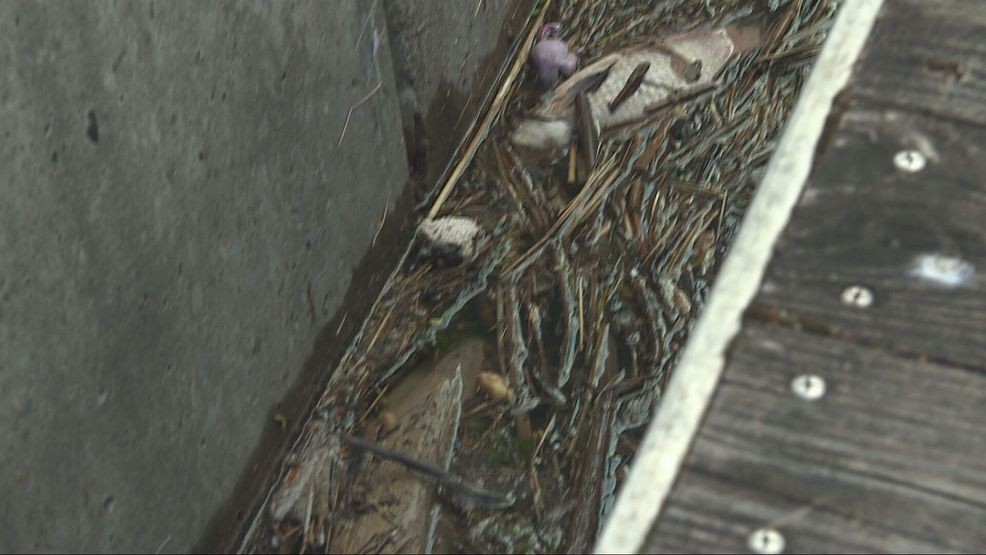 Needles and trash found at Inner Harbor; who will clean up the mess?