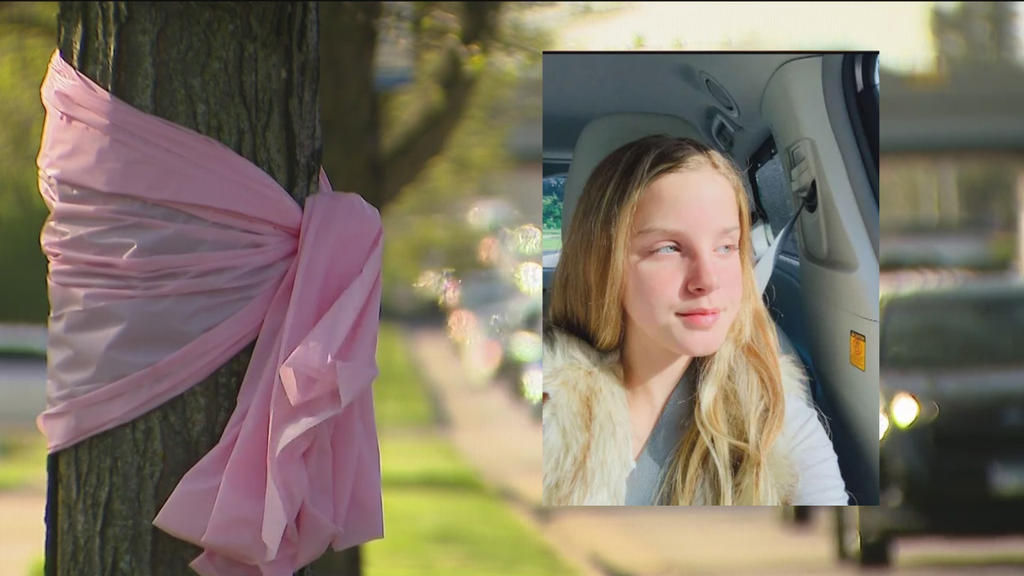 Glenview community honors Lily Bova, shot and killed inside her ...