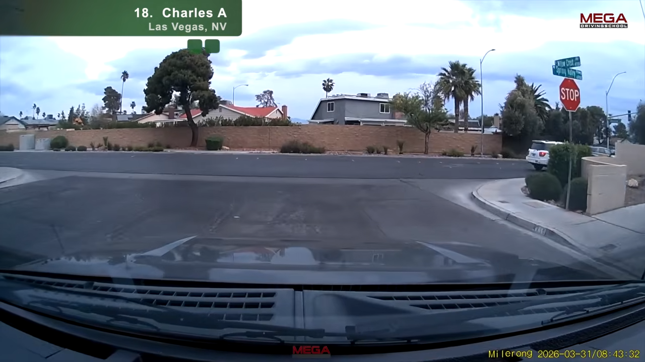 The moment a pedestrian ran into traffic