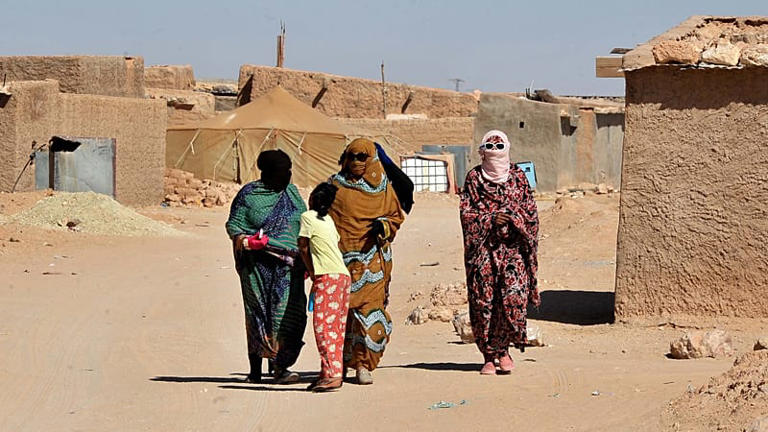 In Algerian desert, Sahrawi refugees still dream of independent homeland