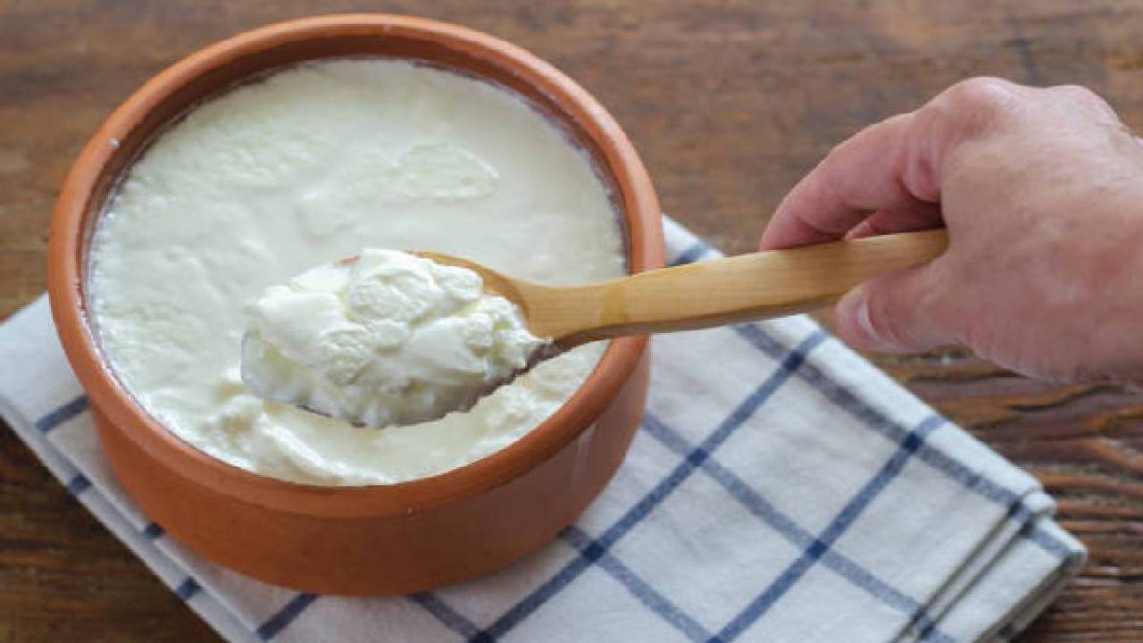 Curd: పెరుగును ఇలా స్టోర్ చేస్తే అస్సలు పాడవ్వదు