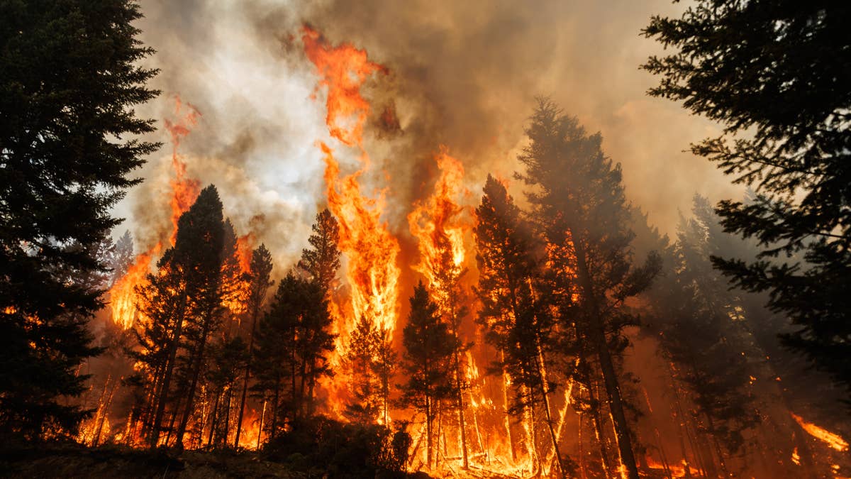 Raging wildfires trigger state of emergency in Florida and Georgia